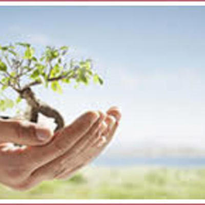 Timeline: Desarrollo Turístico Sustentable