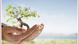 Timeline: Desarrollo Turístico Sustentable