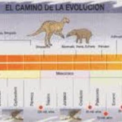 Timeline: Científicos que sentaron las bases de la teoría de la evolución