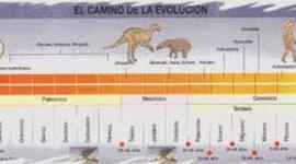 Timeline: Científicos que sentaron las bases de la teoría de la evolución