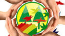 Timeline: Etapas del Cooperativismo en Argentina