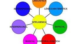 Timeline: ED. FISICA EVOLUCIÓN TRIMESTRAL