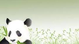 Timeline: Tendencias y acuerdos internacionales vinculados a la actividad turística