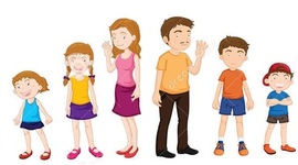 Timeline: Etapas del desarrollo humano