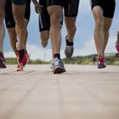 Timeline: Entrenamientos