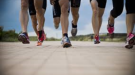 Timeline: Entrenamientos