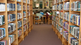 Timeline: SCHL 5200: Developmentally Appropriate Texts (Desiree Workman)