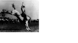 Timeline: Timeline of Rodeo History