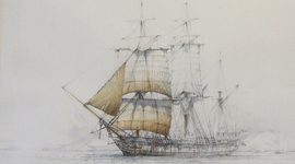 Timeline: Beagles Voyage