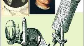 Timeline: MAYORES EVENTOS DE BIOLOGíA CELULAR