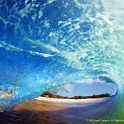 Timeline: Evolution of Autism