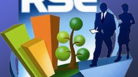 Timeline: Evolución de  RSE