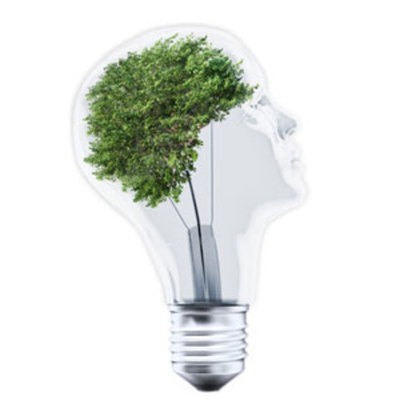 Timeline: Turismo Sustentable