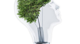 Timeline: Turismo Sustentable