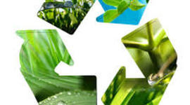 Timeline: Historia  de  la   conciencia  ambiental