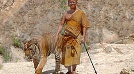 Timeline: Бенгалия