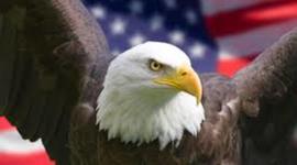 Timeline: US History: VHS Summer Shealeigh Blood