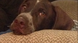 Timeline: Life and Times of Dampsey Fruge