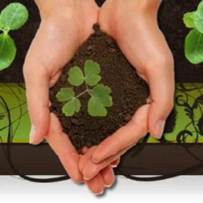 Timeline: Turismo Sustentable y su Historia en el Mundo