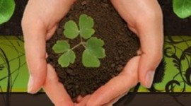 Timeline: Turismo Sustentable y su Historia en el Mundo