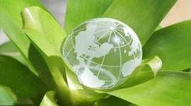 Timeline:  DESARROLLO TURISTICO SUSTENTABLE (Antecedentes)