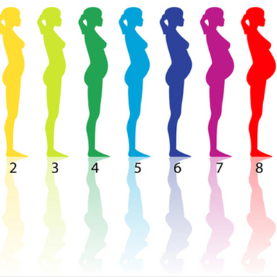 Timeline: The Development of a Child