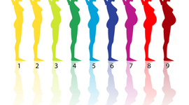 Timeline: The Development of a Child