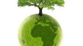 Timeline: Fechas destacadas acerca del Desarrollo Sustentable