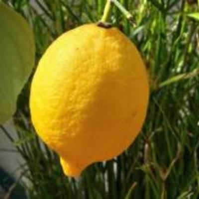 Timeline: ПОРТФОЛИО