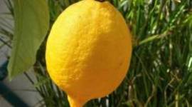 Timeline: ПОРТФОЛИО