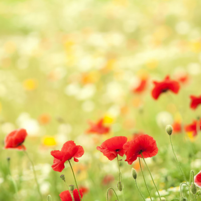 Timeline: Серебряный  век