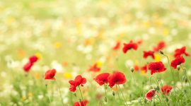 Timeline: Серебряный  век