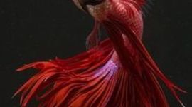 Timeline: The History of the Ocean