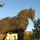 Trojan horse1