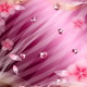 Dreamy pinks wallpaper 9206873(1)