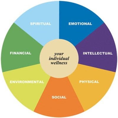Timeline: Health Maintenance Timeline