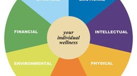 Timeline: Health Maintenance Timeline