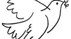 Timeline: MISIONES DE PAZ - OEA