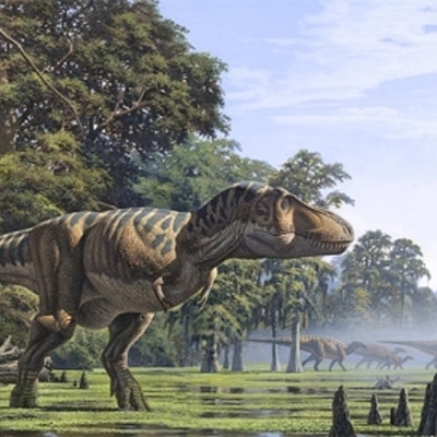 Timeline: Wives of Henry VIII