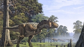 Timeline: Wives of Henry VIII