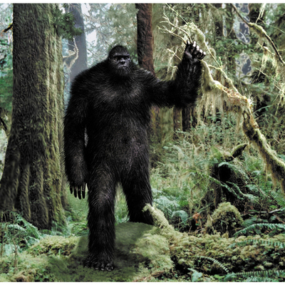 Timeline: Bigfoot