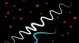 Timeline: Curso Vespertino CBTis 144