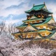 Osaka castle spring wallpaper 1366x768