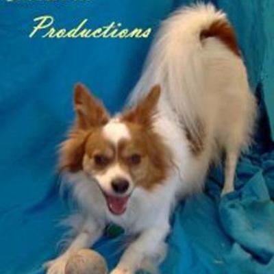 Timeline: ChrisAl Productions