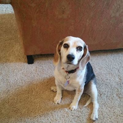 Timeline: Daisy's Timeline