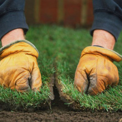 Timeline: Evolution of Turf Management