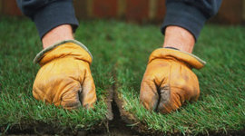 Timeline: Evolution of Turf Management