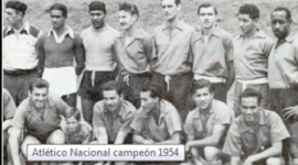 Timeline: Historia Verdolaga