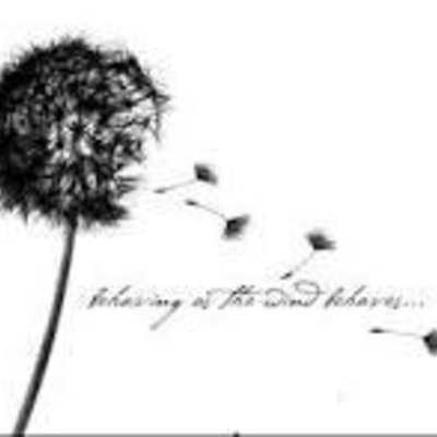 Timeline: ESTRUCTURAS