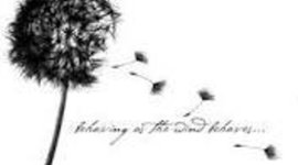 Timeline: ESTRUCTURAS